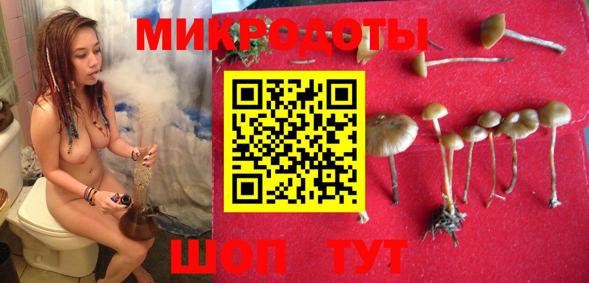 Галлюциногенные грибы Magic Shrooms  Вход с VPN  Балахна  Псилоцибиновые грибы прущие грибы 